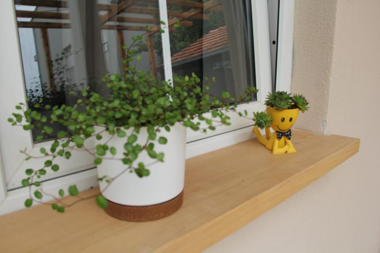 Apartman Lilium 크닌 외부 사진
